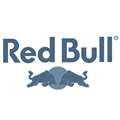 partner Red Bull